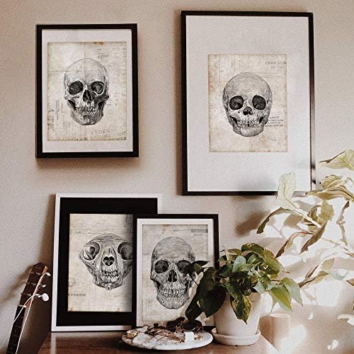 Set de poster Gavia Skull - 8x10 neframed - poster schelet - decor de perete craniu - afișe emo - arta gotică - arta craniului