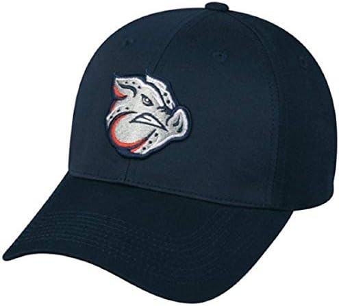MiLB Minor League tineret LEHIGH VALLEY IRONPIGS Bleumarin pălărie capac reglabil TWILL Philliess afiliat
