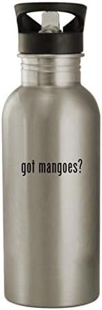 Cadourile Knick Knick au mango? - Sticlă de apă din oțel inoxidabil de 20oz, argint