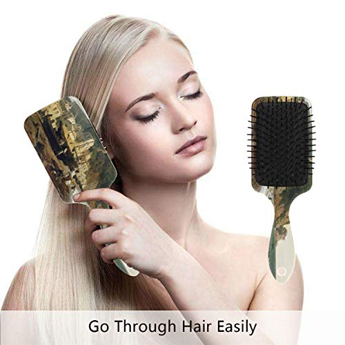 Perie de păr de pernă de aer, coasta liguriană colorată din plastic, masaj adecvat bun și perie de păr anti -statică pentru