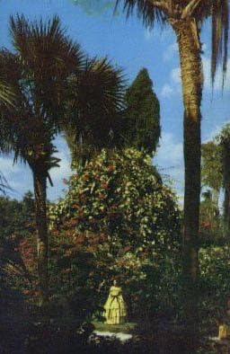 Cypress Gardens, Florida Postcard