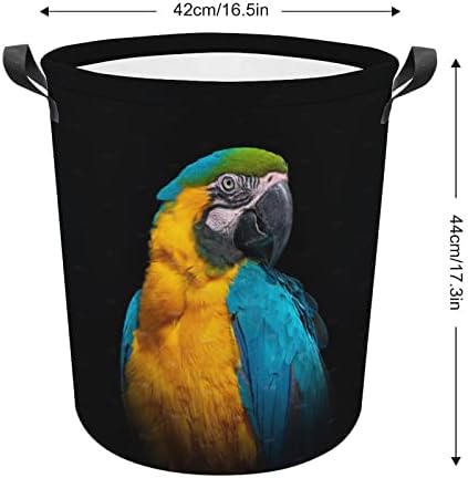 Papagal pe coș de rufe pliabil întunecat coș de rufe cu mânere coș de spălat haine murdare geantă pentru cămin, familie