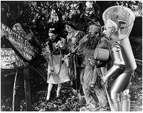 Vrăjitorul din Oz Wicked Dorothy the Tin Man sperietor și leu laș de pădure bântuită 8 x 10 fotografie