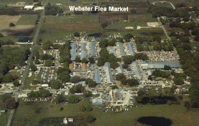 Webster, Florida Postcard