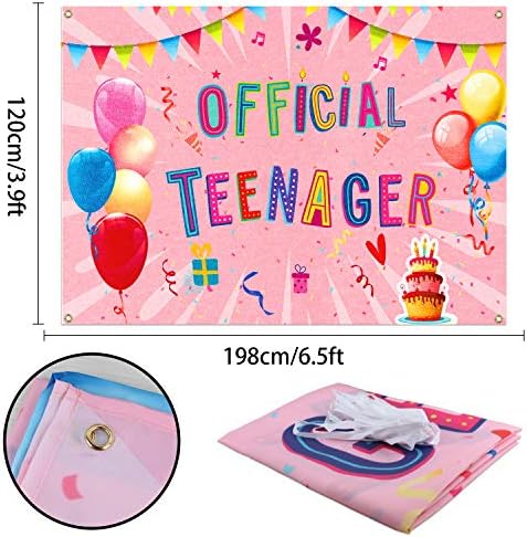 PAKBOOM Oficial Adolescent fundal Banner fundal-13 ani decoratiuni petrecere consumabile pentru fete adolescente-3.9 x 5.9