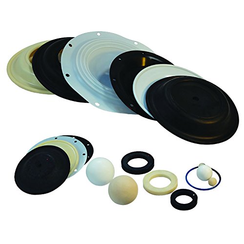 N02-9553-58 P200 Santoprene/Plastic Fluid End Kit înlocuiește Wilden® P/N 02-9553-58