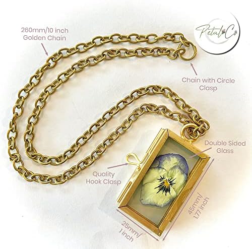 PETAL CO GLASE PRESSED FLOWET FLOWER cu lanț de 10 inch | Ebook inclus | Alamă de aur, cadru de flori presat plutitor, afișaj foto decor de bijuterii, cadou excelent, ramă din sticlă din alamă din aur., 3x5