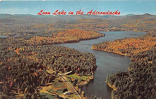 Loon Lake, New York Postcard