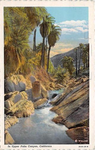 Palm Canyon, carte poștală din California