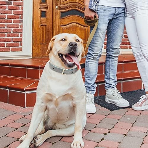 Gulere de câine din piele Blu & Ben autentic din piele clasică guler din piele pa căptușită moale elegant, elegant, respirabil pentru câini mici medii mari