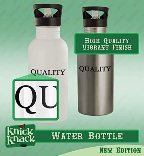 Cadouri Knick Knack ingredinency - Sticlă de apă din oțel inoxidabil 20oz, argintiu