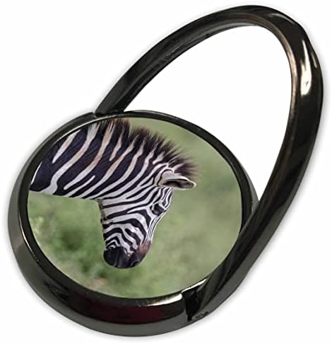 3Drose Burchells Zebra, Craterul Ngorongoro, Tanzania, Africa. - Telefonul suna