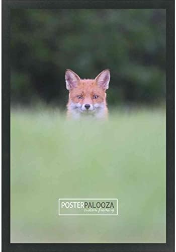 Poster Palooza 10x15 Cadru de imagine contemporană din lemn negru - acrilic UV, suport pentru placă de spumă și hardware agățat